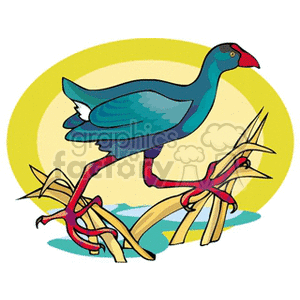 Teal and white undertail marsh bird in a marsh  clipart. Commercial use image # 130504