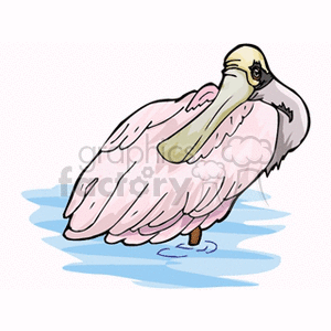 Pink spoonbill wading through water