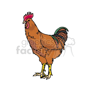 Brown rooster with green tail feathers clipart.