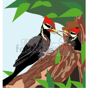 Two pileated woodpeckers clipart. Royalty-free image # 130731