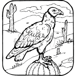 clipart - Turkey buzzard perched on a cactus- black and white.