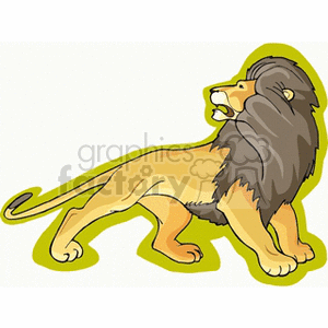 Golden male lion with a dark brown mane clipart. Commercial use image # 131050
