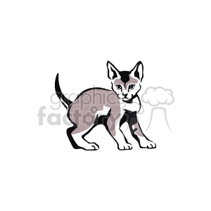 Playful gray kitten clipart. Commercial use image # 131184