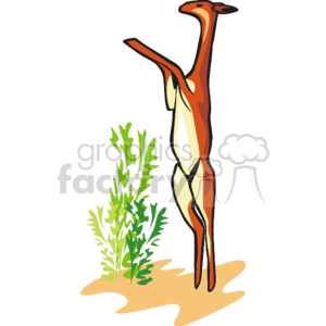 Skinny antelope standing on two legs clipart.