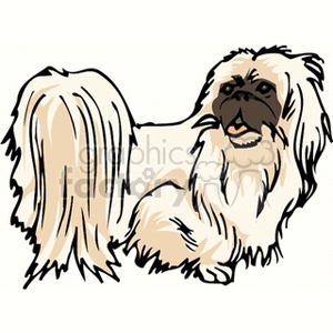   dog dogs animals canine canines  dog6.gif Clip Art Animals Dog dogs ShihTzu yappy little brown