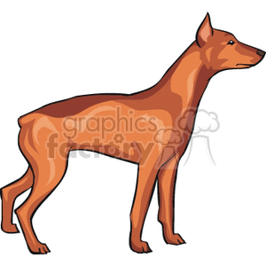 Dobermann pincher clipart. Commercial use image # 131863
