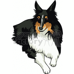   dog dogs animal animals pet pets miniture collie  Dogs043.gif Clip Art Animals Dogs 