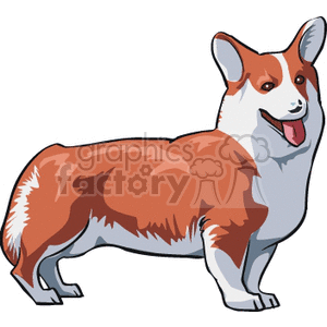   dog dogs animal animals pet pets  Dogs049.gif Clip Art Animals Dogs 