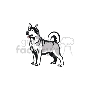 The image appears to be a black and white clipart of a dog, specifically a breed that closely resembles a Husky. The dog is depicted in a standing profile with markings that suggest the typical coat patterns of a Husky. It features an alert expression, pointed ears, a curled bushy tail, and a distinct thick coat, which are characteristic traits of the breed.