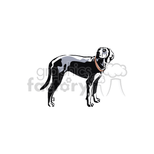 Animal_ss_c_014 clipart. Royalty-free image # 131995