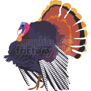   bird birds turkey turkeys farm farms animals thanksgiving dinner  animals031.gif Clip Art Animals Farm bird birds