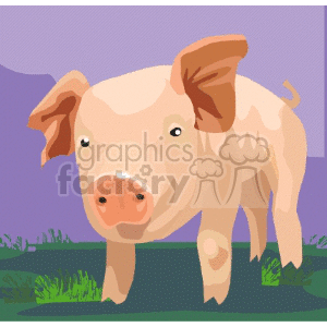 Cute baby pig clipart. Commercial use image # 132152