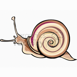 cochlea3 clipart. Royalty-free image # 132313
