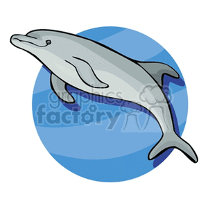 dolphin clipart. Commercial use image # 132330