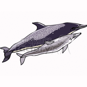two dolphins clipart. Royalty-free image # 132332