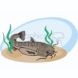 Catfish animation. Royalty-free animation # 132717