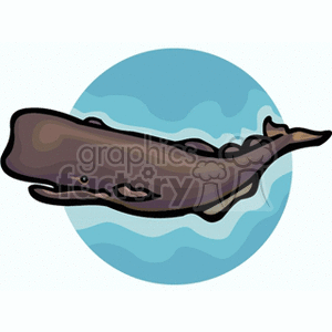 Whale clipart. Royalty-free image # 132727