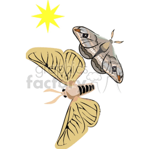   moth moths flying bug bugs  animals058.gif Clip Art Animals Insects 