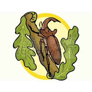   beatle beatles beetle beetles bug bugs  bug17.gif Clip Art Animals Insects 