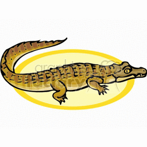 alligator11 clipart. Commercial use image # 133104