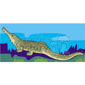 cayman2 clipart. Commercial use image # 133117
