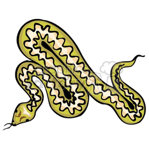 Diamondback snake clipart. Royalty-free image # 133531