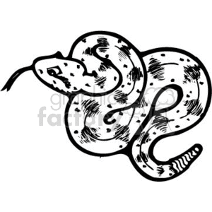 black and white rattle snake clipart. Commercial use image # 133548
