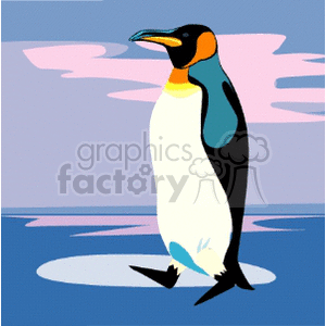 King Penguin clipart. Royalty-free image # 133615