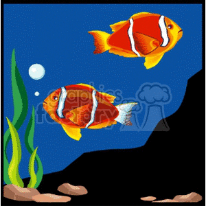 Two Orange fish swimming clipart. Commercial use image # 133623