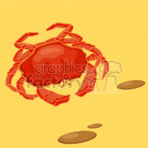   crab crabs animals beach  animals030.gif Clip Art Animals Water Going 