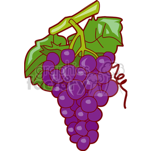   fruit food grape grapes  grape301.gif Clip Art Food-Drink Fruit 