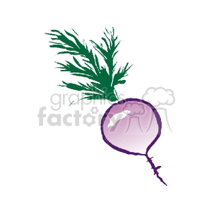 turnip clipart. Royalty-free image # 142365