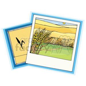 topomap_wheatfield clipart. Royalty-free image # 149261