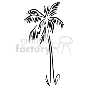 Plnts039_bw clipart. Royalty-free image # 151184