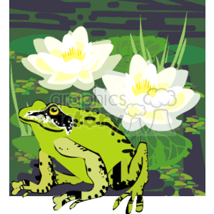 frog in a pond clipart. Commercial use image # 151542