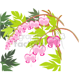 flowers_summer-10 clipart. Commercial use image # 151547