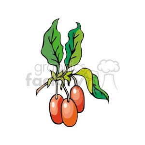 berry1212 clipart. Commercial use image # 151812