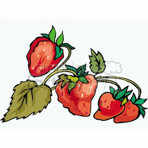   plant plants berries berry fruit wild tree trees strawberry strawberries  berry2.gif Clip Art Nature Plants 