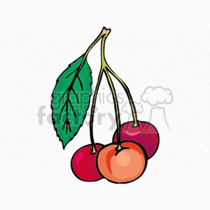 berry7 clipart. Commercial use image # 151822