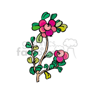 berry9 clipart. Royalty-free image # 151824