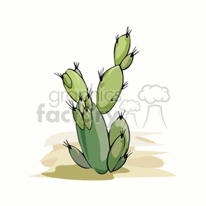   plant plants desert cactus cactuses  cactus19.gif Clip Art Nature Plants 