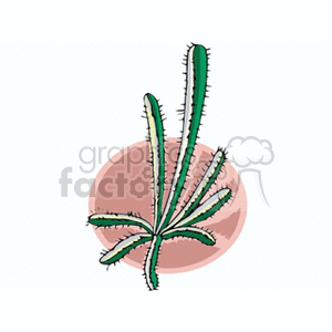 cactus301212 clipart. Commercial use image # 151928
