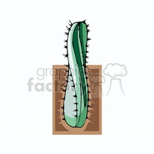 cactus311212 clipart. Commercial use image # 151930