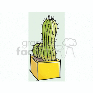   plant plants cactus cactuses  cactus31512.gif Clip Art Nature Plants 