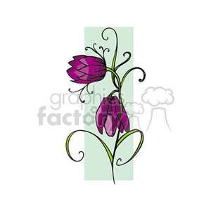 fritillaria clipart. Commercial use image # 152048
