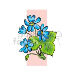 hepatica clipart. Commercial use image # 152075