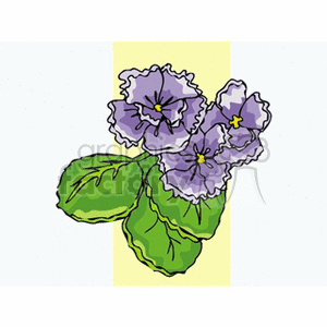   plant plants flower flowers viola  viola.gif Clip Art Nature Plants 