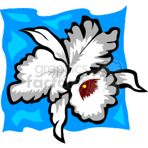 white tropical flower blue background clipart. Commercial use image # 163016