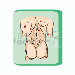   anatomy human humans body parts back muscle muscles butt Clip Art Science Health-Medicine 