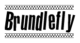 The clipart image displays the text Brundlefly in a bold, stylized font. It is enclosed in a rectangular border with a checkerboard pattern running below and above the text, similar to a finish line in racing. 